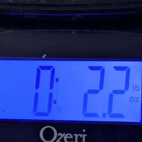 Hand Poured Sandalwood Cactus Blue  Heart-Shaped Soy Wax Melts - Picture 3 of 5